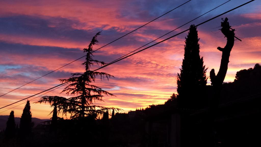 La Bergerie St Antoine Bed & Breakfast Speracedes ภายนอก รูปภาพ
